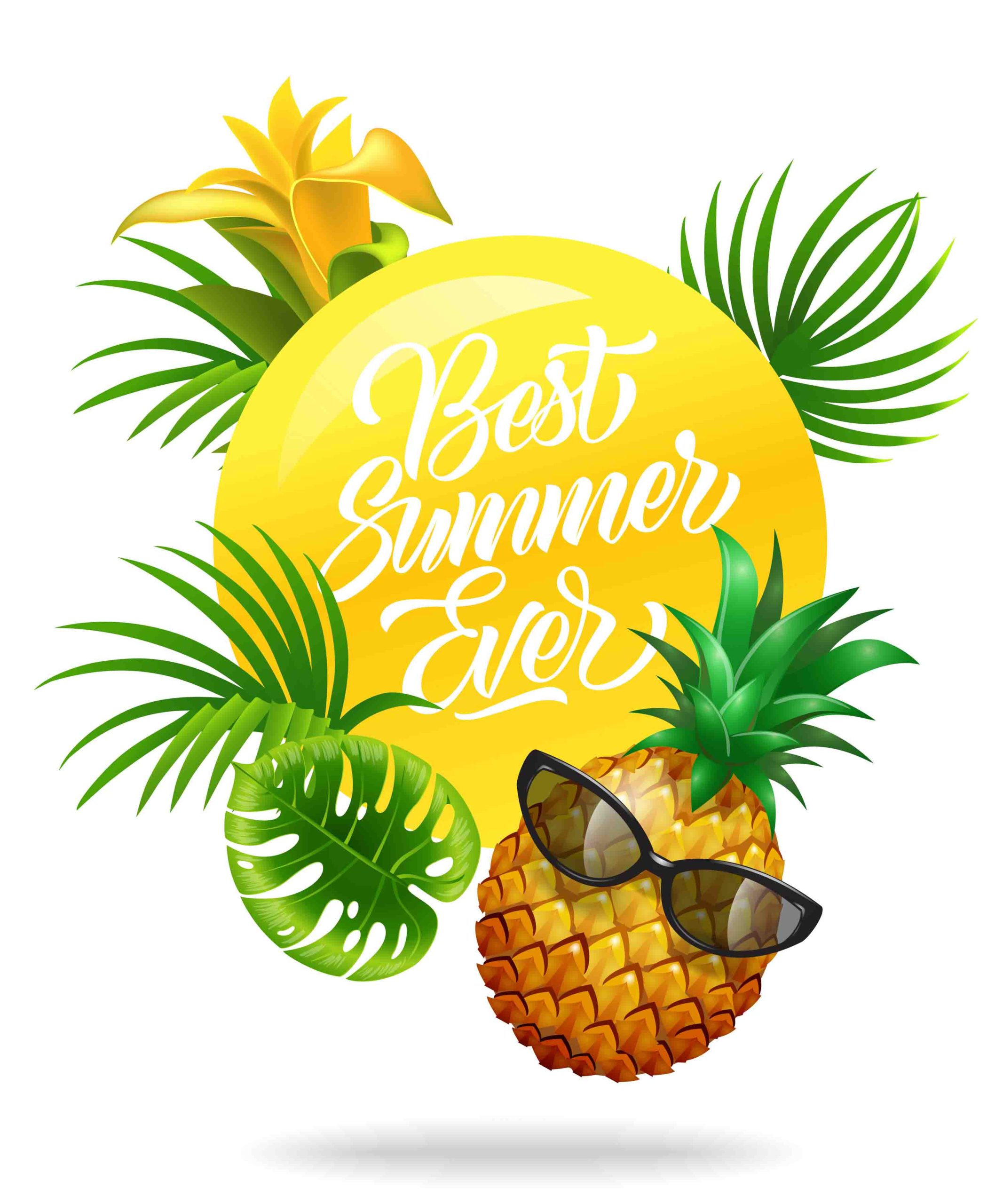 Vetor Verão Summer Download Grátis Abacaxi