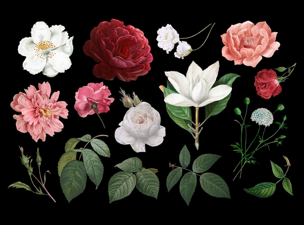 desenhos de flores vintage 53876 89847
