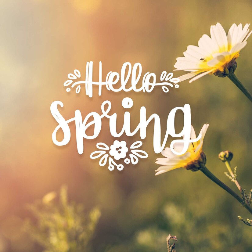 ola letras de primavera com tema de foto 23 2148442977