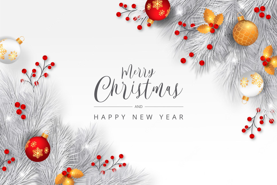 elegante fundo de natal com galhos brancos 1361 1689
