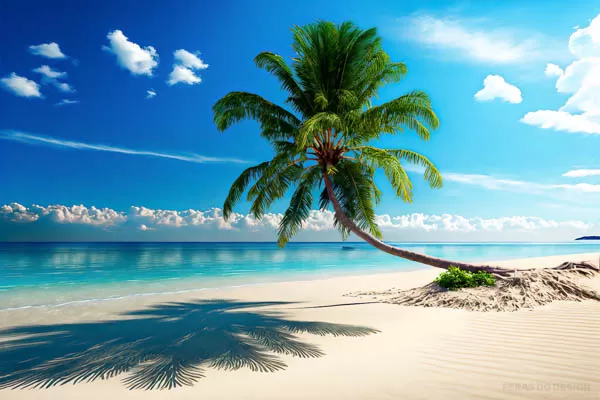 2 paisagem de praia com mar azul e coqueiro na areia feras do design